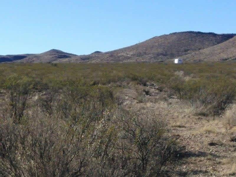 Camping At Desert Gardens Oasis In Lobo, Tx Van Horn Exterior photo